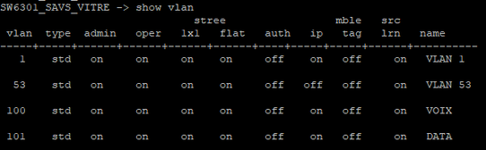 Sortie show vlan — table VLAN du switch