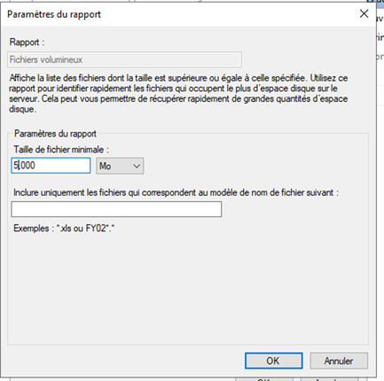 Configuration du rapport Fichiers volumineux avec seuil 5 Go